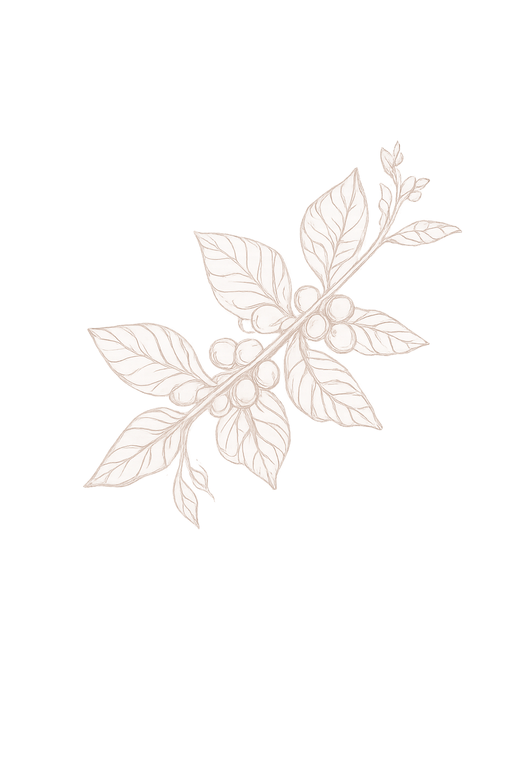 Leaf Decor