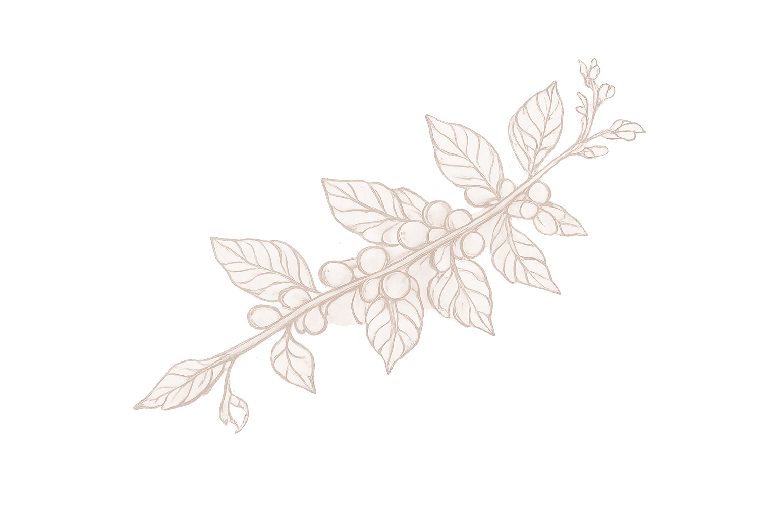 Leaf Decor